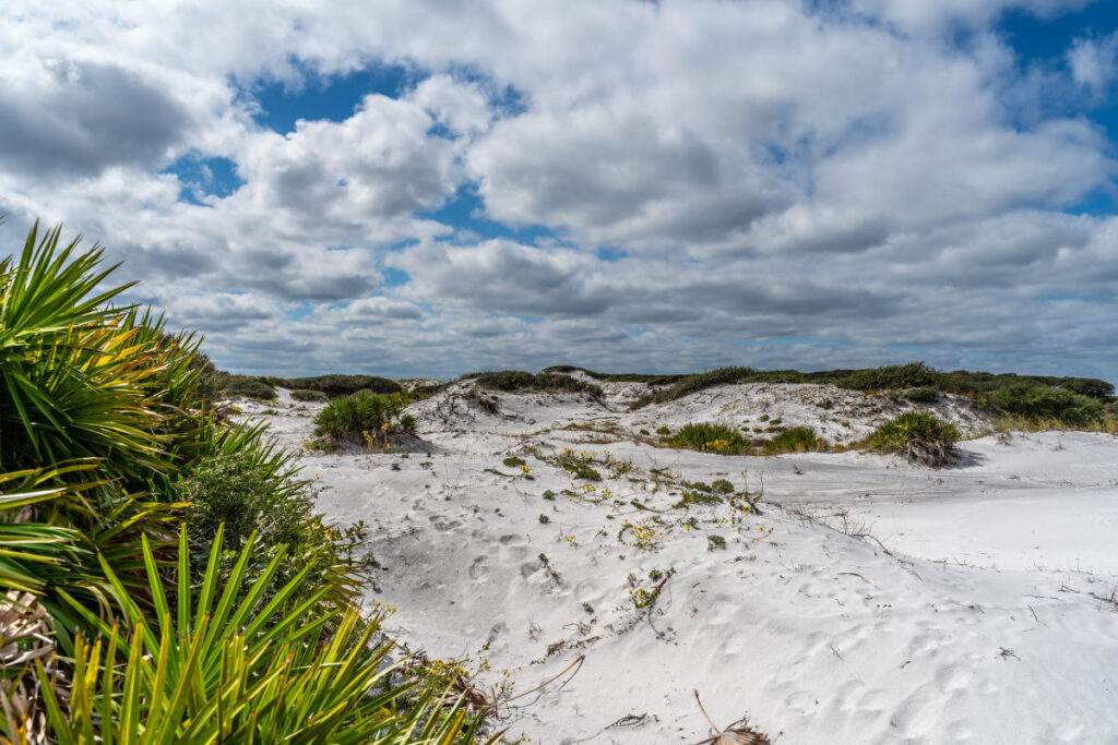 Grayton Beach State Park