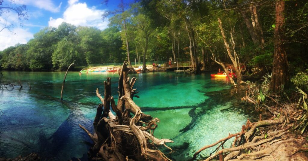 Take a Day Trip to Cypress Spring