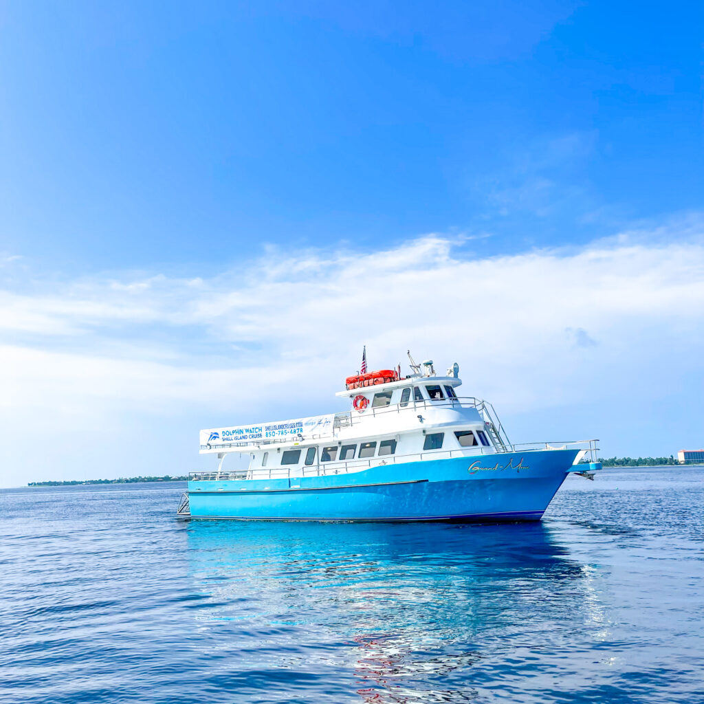 Go Dolphin Watching On a Catamaran
