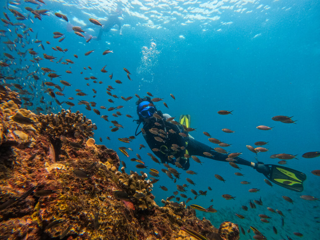 Go Scuba Diving