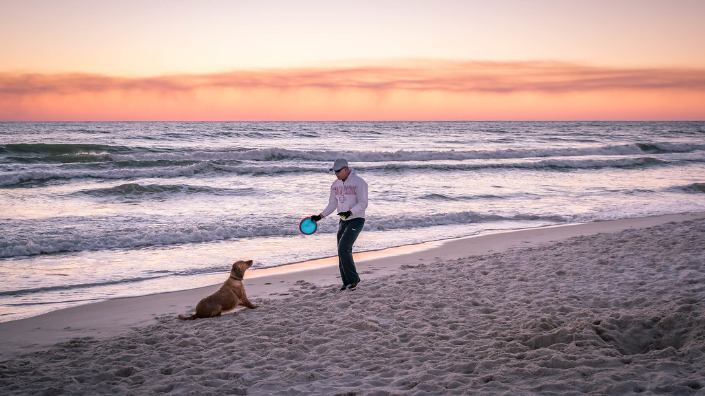 Dog Beach at Pier Park Panama City Beach
