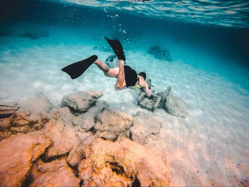 Go Snorkelling at Shell Island